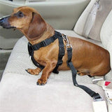 Dog Car Safety Seat Belt Harness Restraint