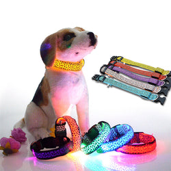 Flashing Glowing Light LED Dog Collar