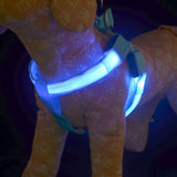 LED Dog Safety Vest Collar Harness