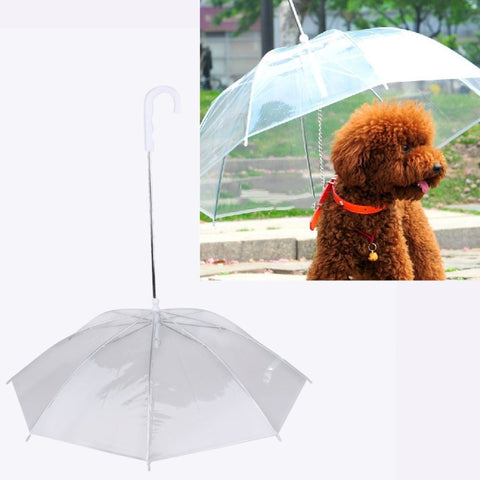 Small Dog Umbrella with Dog Lead