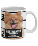 Most Wanted Ginger Spitz – 11oz White Ceramic Coffee Mug